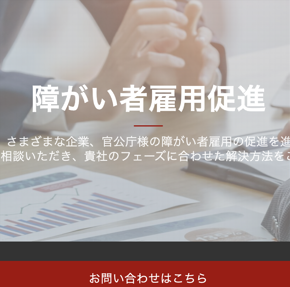 ボラシェア障がい者雇用促進事業